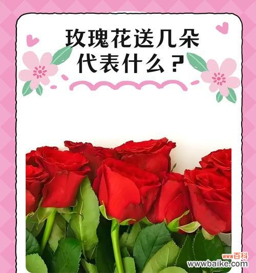 哪朵花被视为爱情的象征？