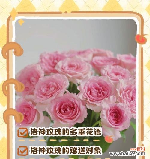 如意玫瑰花的寓意是什么？如意玫瑰花的花语有哪些？
