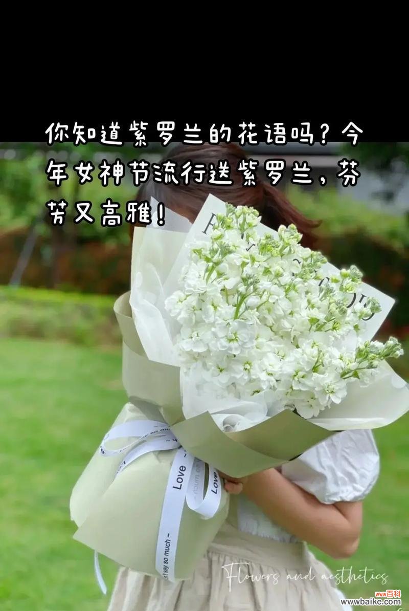 送亲节的花语有哪些?