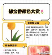 送亲节的花语有哪些？