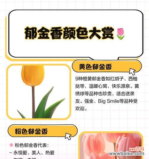 送亲节的花语有哪些?