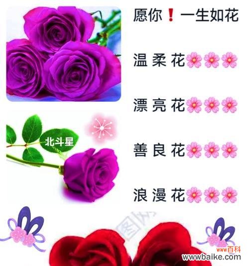 送亲节的花语有哪些?