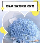 蓝色月季花的花语和寓意是什么？如何选择？
