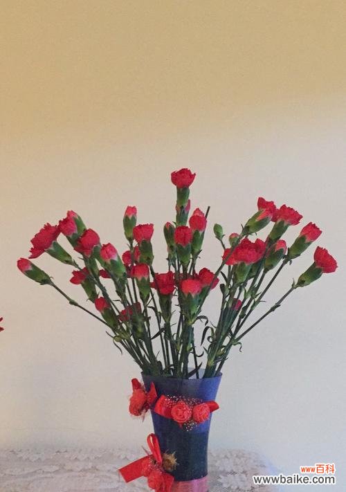 桃红色康乃馨的深刻内涵与浪漫情愫 桃红色康乃馨花语