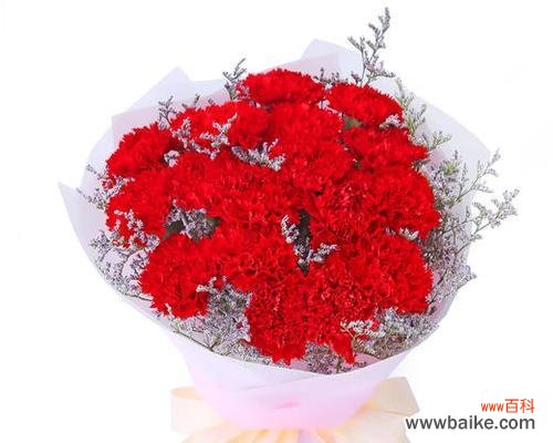 红色康乃馨的花语和寓意 红色康乃馨