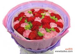 康乃馨花语的象征意义和传递情感的力量 大红色康乃馨的花语