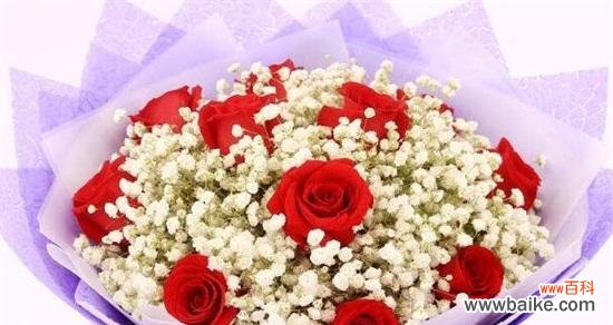 探寻满天星花海中的情感与祝福 紫红色满天星花语的美丽与寓意