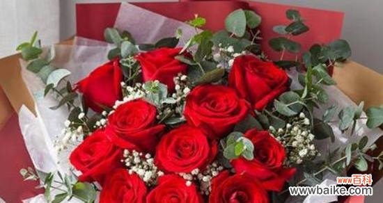 探索爱情与热情的关键——红色玫瑰的花语解读 红色玫瑰花语的深意