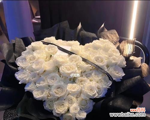 传递纯洁的芬芳 白瑰玫的花语