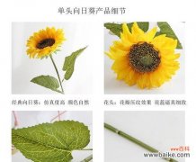腊八节送太阳花的寓意是什么？太阳花在节日中代表什么？