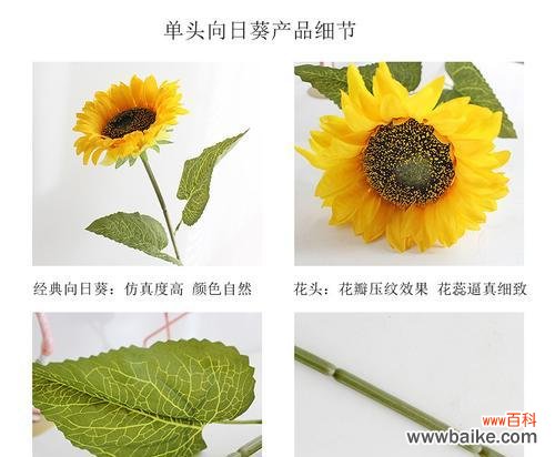 腊八节送太阳花的寓意是什么？太阳花在节日中代表什么？