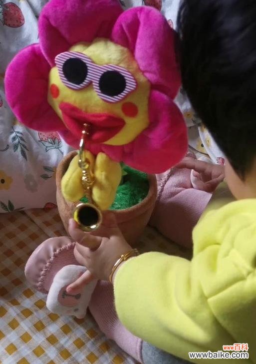 腊八节送太阳花的寓意是什么？太阳花在节日中代表什么？