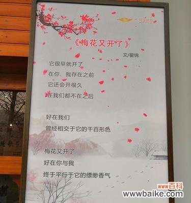 曾卓白色花象征什么?白色花在曾卓作品中的意义是什么?