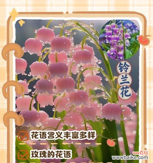 如何用花语浪漫表达情感?花语表达有哪些技巧?