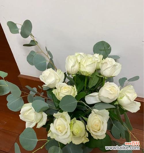 以白玫瑰代表的爱情和纯洁的象征意义 白玫瑰的象征意义及其美丽之源