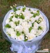 用花朵传递的纯洁与无暇之美 白玫瑰花的花语