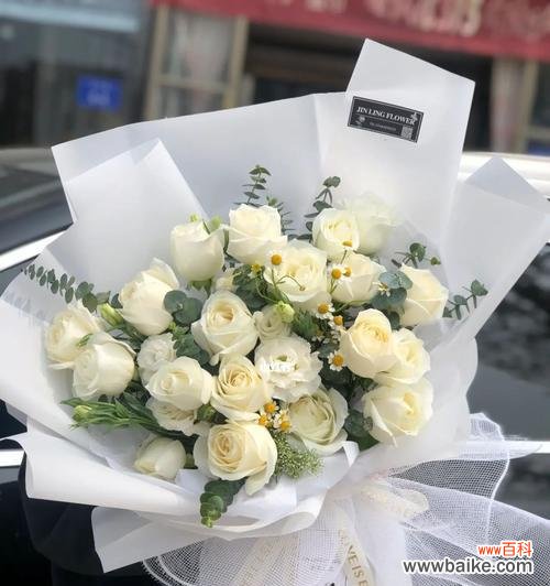 用花朵传递的纯洁与无暇之美 白玫瑰花的花语