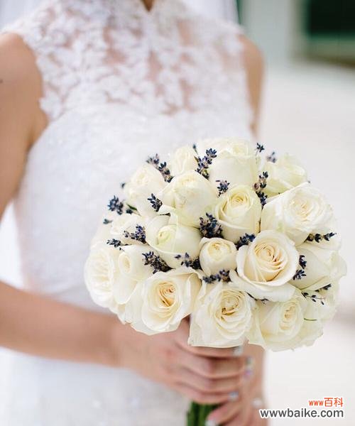 探寻玫瑰花的神秘语言 白玫瑰与红玫瑰的象征意义