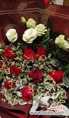 探寻白玫瑰花的纯洁与深情 白玫瑰花的寓意及美丽传承