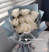 白玫瑰的花语及适合送给的对象 白玫瑰花语