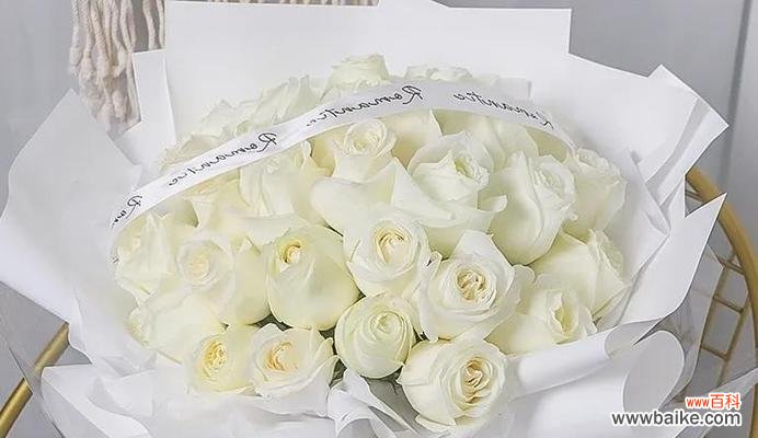 白玫瑰的花语及适合送给的对象 白玫瑰花语