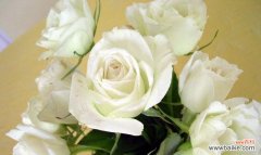 以白玫瑰数量代表的含义 白玫瑰的象征意义