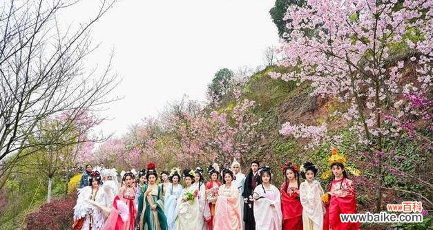 花朝节复兴有何意义?花朝节的花语是什么?