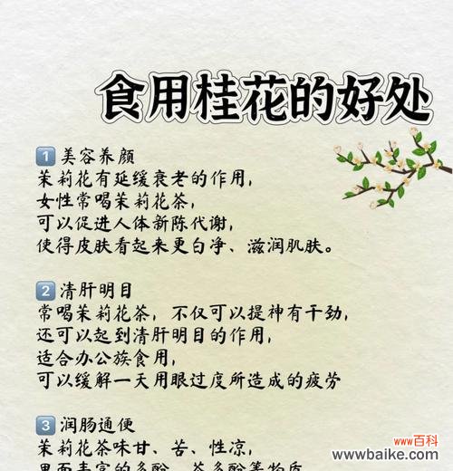 送茉莉花给长辈有何寓意？茉莉花象征着什么？