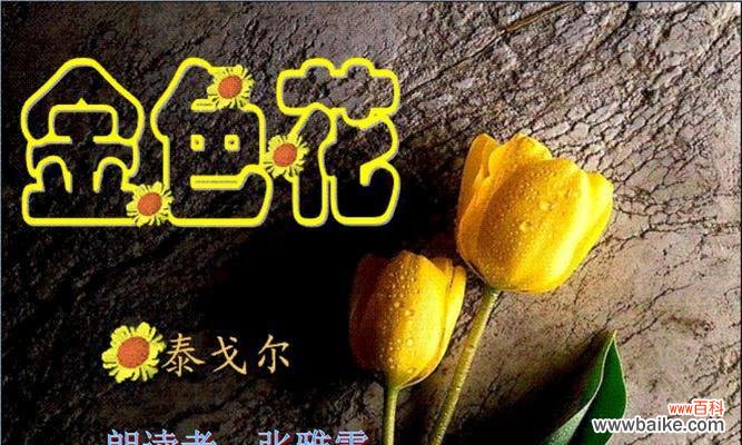 金色花有哪些寓意?金色花的含义是什么?