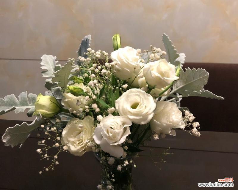 探寻花海中的深意 白色桔梗花的神秘寓意