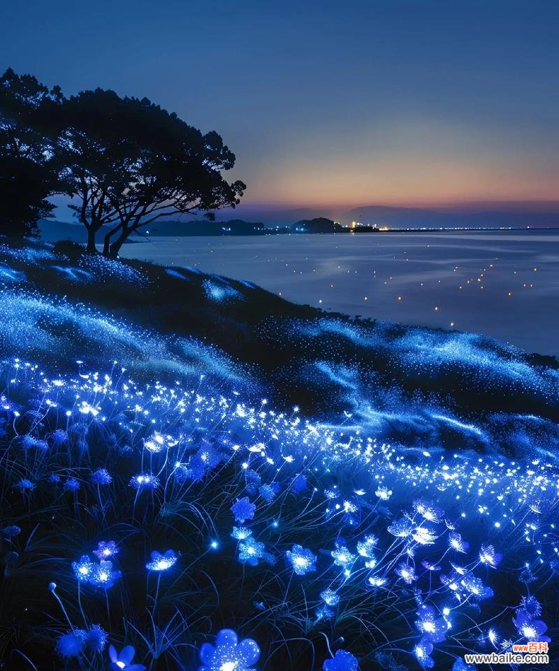 蓝色花代表什么寓意?送蓝色花有哪些特别含义?