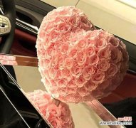 哪种花象征永恒忠诚的爱情？