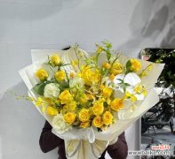 不能陪过节时，应该选择哪种花语来表达歉意？