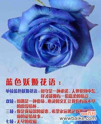 七色百花各自有什么花语?它们的寓意分别是什么?