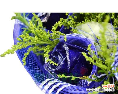 解读冰蓝色玫瑰 冰蓝色玫瑰的花语与意义