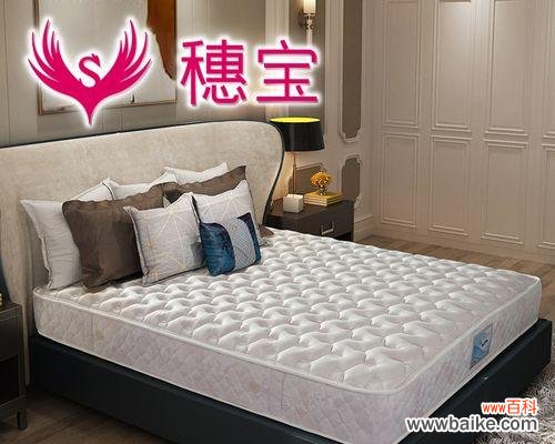 正品床垫的浪漫花语是什么？它象征着什么？