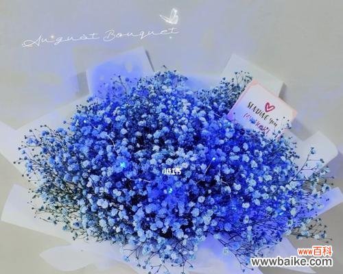 蓝色满天星手捧花寓意何在?这种花束传递了哪些情感?