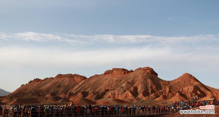 丝路花语中的颜色代表什么？丝路花语颜色的含义是什么？