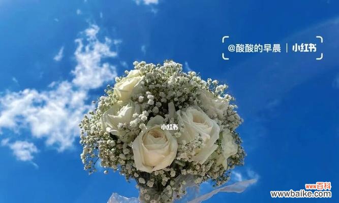 甘蔗手捧花的意义是什么?甘蔗手捧花代表什么?