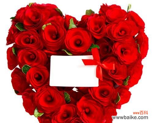 探寻玫瑰花背后的神秘象征 玫瑰花的不同数量代表的含义