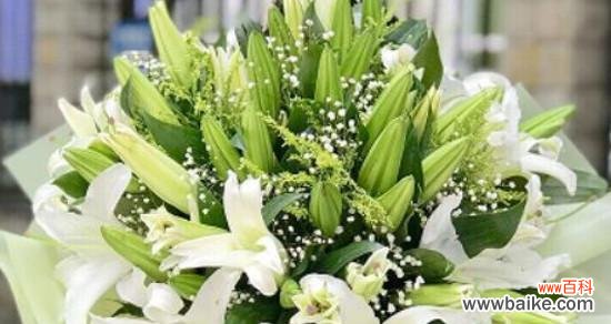 花开花落间,绽放心灵之美 黄百合花语与生活的美好