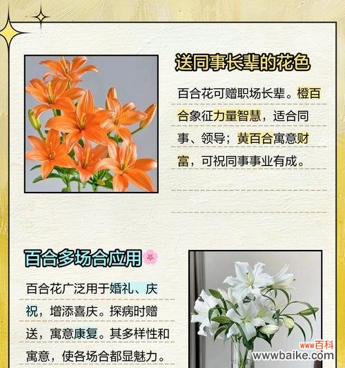 送花给老人有什么寓意?