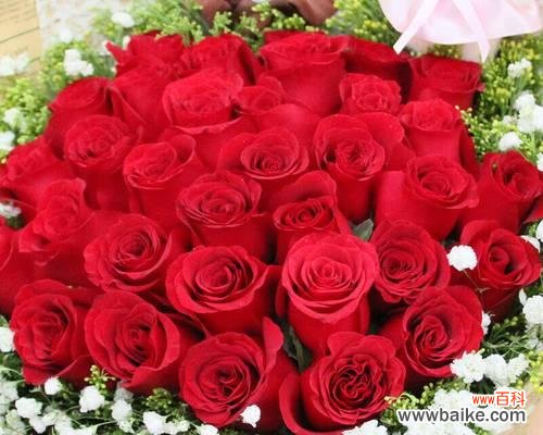 情人节准备花的意义是什么？