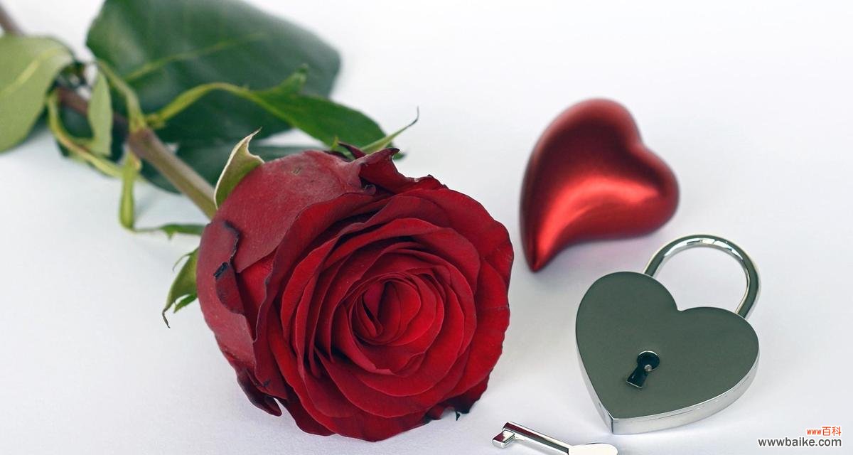 哪种花最能代表浪漫？浪漫花朵的寓意是什么？