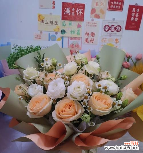 春节送香槟花有什么特别的寓意?