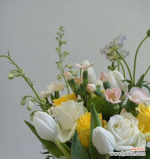 探索黄玫瑰花的情感象征与历史文化 黄玫瑰花的深刻寓意