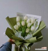 探寻白色郁金香所传递的情感和象征意义 白色郁金香的花语