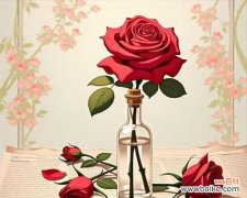 哪种花象征张扬的爱情？它的寓意是什么？