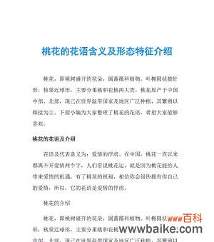 暖色花雨的含义是什么?