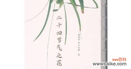 二十四节气各自象征什么花?节气花的寓意是什么?